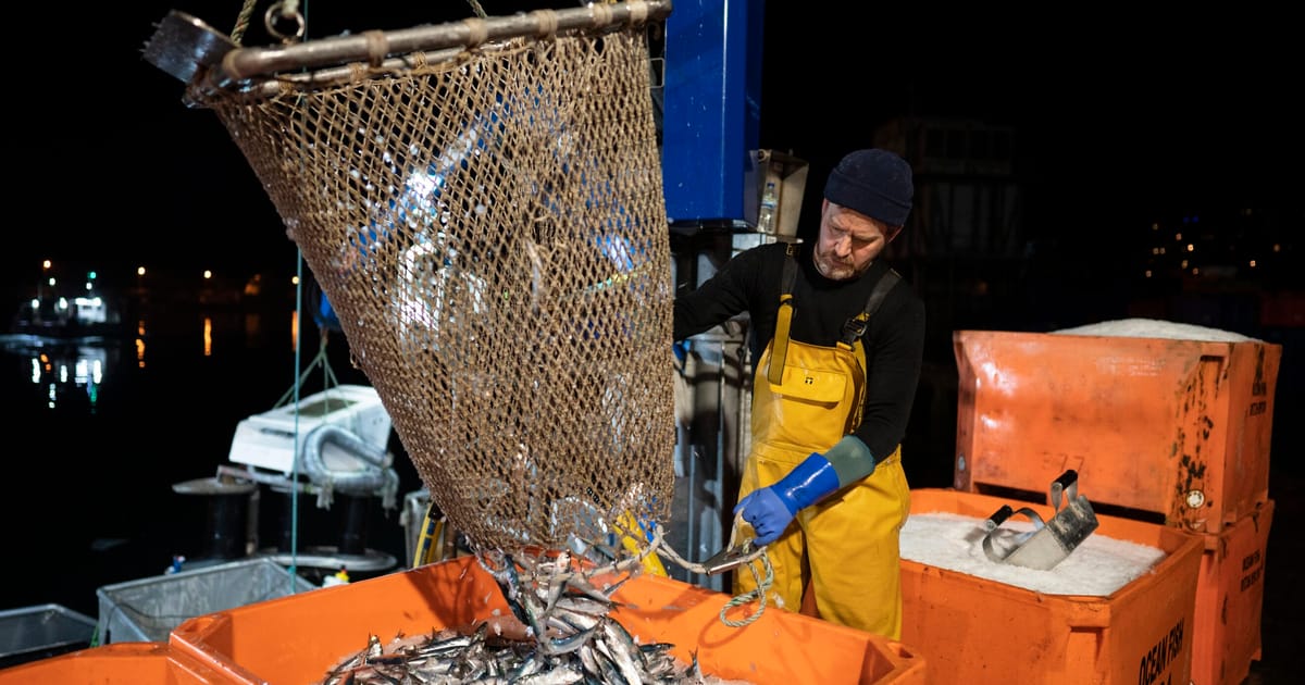 Starmer bets ‘sell-out’ on fish won’t spook Brits weary of Brexit – POLITICO