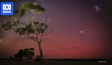 Aurora australis lights up the sky over southern Australia