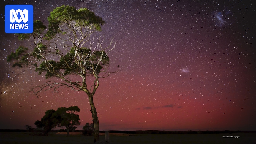 Aurora australis lights up the sky over southern Australia