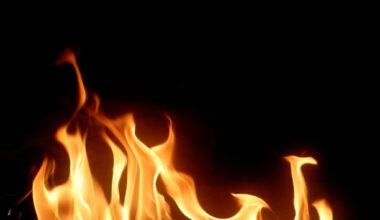 Mother, children of Pakistani origin killed in London house fire