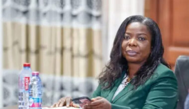 Bee stings have medicinal properties – Expert explains