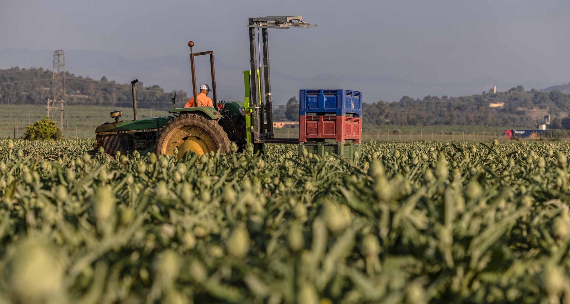 EU farm policy goes under the simplification hammer
