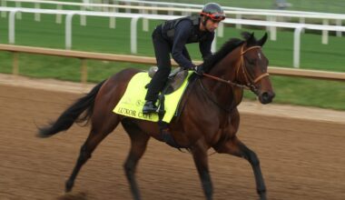 Horses and latest odds for Churchill Downs run