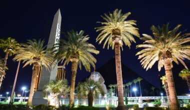 3 tourists sue Las Vegas Strip hotels, alleged bedbug infestations
