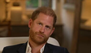 Three words of Prince Harry's astonishing interview that will worry the palace most in Royal's security row