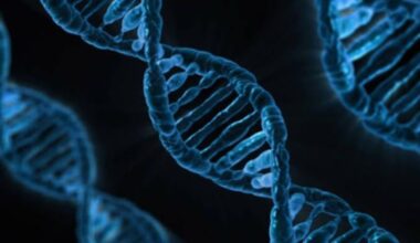 TN to open genetic disorder centres in Coimbatore, Madurai