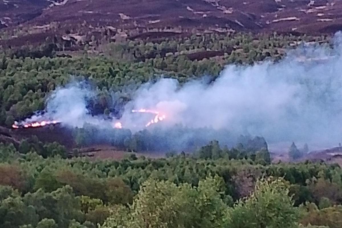 Herald Scotland
