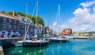 The Packet - Falmouth