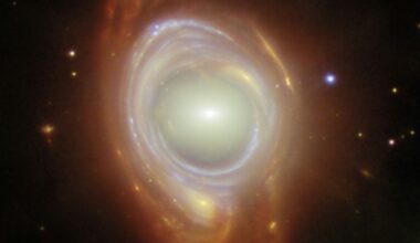 Humans will be long gone before the universe dies out (Handout)