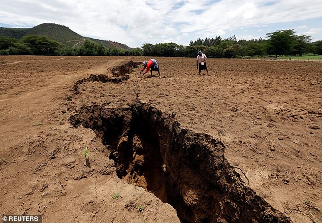 A massive geological transformation is taking place in East Africa, where a hidden force beneath the Earth's surface is slowly tearing the continent apart . A 35-mile-long fissure in Ethiopia’s desert emerged in 2005 (pictured)