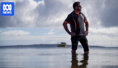 The algal bloom harming marine life is now hitting livelihoods