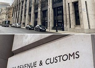 State pension top-ups: HMRC is responsible for maintaining NI records and processing contributions, and DWP for revising forecasts or payments after purchases
