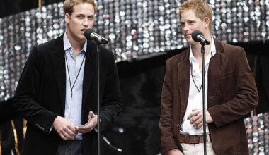Prince William and Prince Harry speak on stage at the Concert for Diana on July 1, 2007