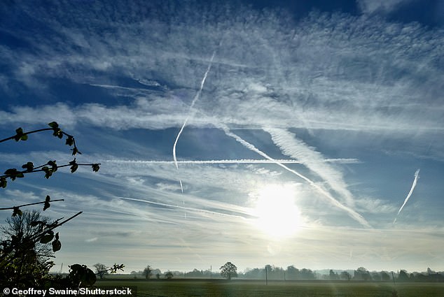 Chemtrails allegedly carry multiple chemicals which are released by airplanes, including barium salts, aluminum oxide, strontium, and mercury