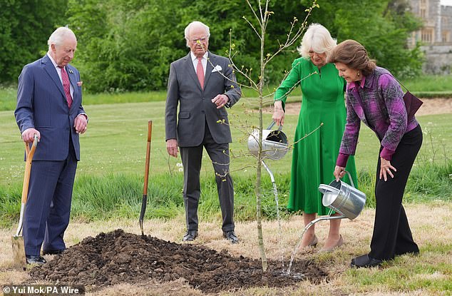 After Charles and Carl planted soil over the tree, Camilla and Silvia watered the Swedish Oak with tin watering cans