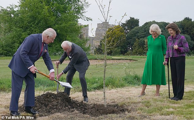 King Charles and King Carl Gustaf got busy planting the Swedish oak tree as Queen Camilla and Queen Silvia watched