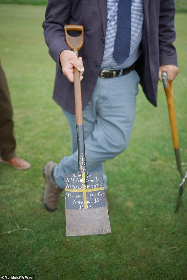 Pictured: The D-handle spade that King Gustaf V used on the 19th of November 1908 to plant an English oak tree in Windsor Great Park