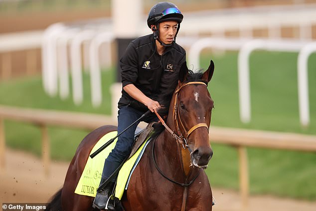 Luxor Cafe could be the first Japanese horse in history to win the Kentucky Derby
