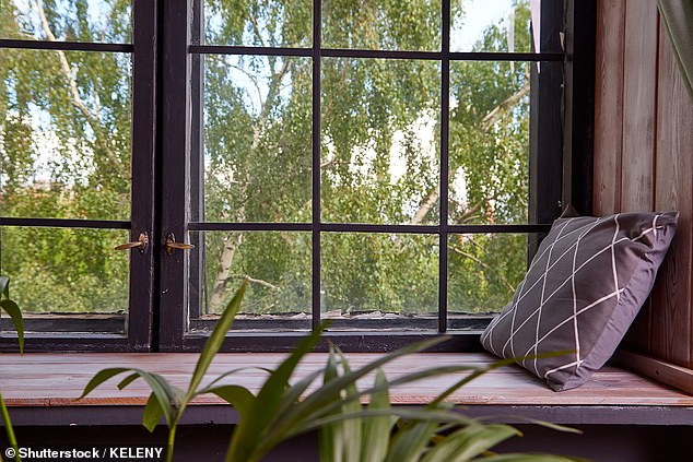 Your light exposure during the day could also be throwing off your body's natural rhythms triggering drowsiness