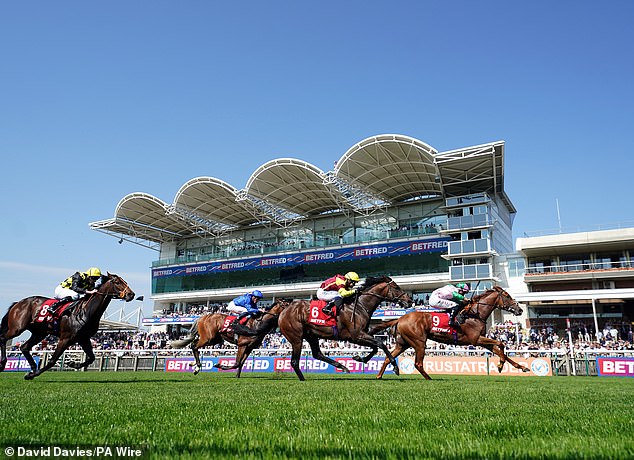 Mail Sport's racing expert Robin Goodfellow delivers his tips for Tuesday's meetings