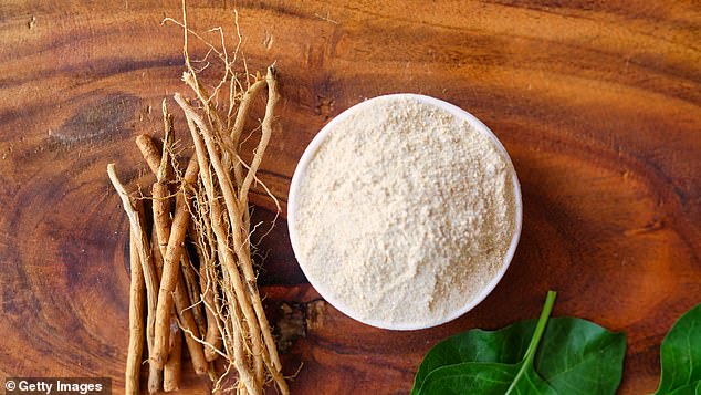 The roots and leaves of the ashwagandha plant have been turned into powders or extracts and used in traditional medicine for centuries (stock image)