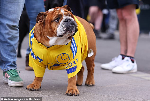 It was just the human race who came out in support for the club on Bank Holiday Monday