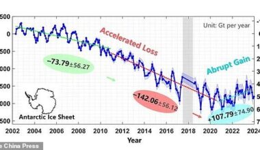 Researchers from Tongji University discovered a 3-year trend where ice was growing back in Antarctica at a historic pace