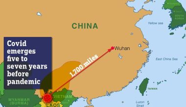 Covid origin FINALLY revealed in bombshell study...and it might not have been China after all