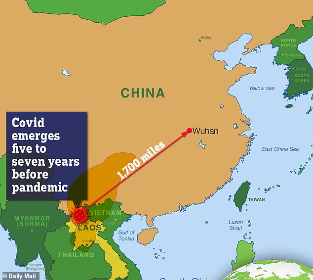 Covid origin FINALLY revealed in bombshell study...and it might not have been China after all