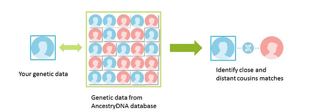 Depending on how much DNA you share with any given person in the database, a possible relationship can be estimated and this is how DNA can help you find cousins or even siblings you never knew you had