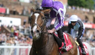 Mail Sport's racing expert Robin Goodfellow delivers his tips for Friday's meetings at Chester, Hereford, Market Rasen, Nottingham, Ascot and Ripon
