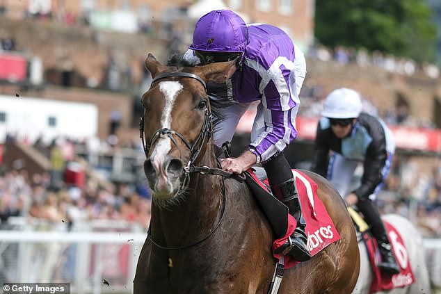 Mail Sport's racing expert Robin Goodfellow delivers his tips for Friday's meetings at Chester, Hereford, Market Rasen, Nottingham, Ascot and Ripon