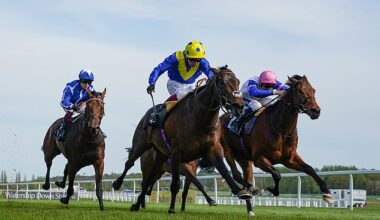Winning result: Newbury Racecourse intends to pay shareholders a dividend after scoring higher annual revenues and profits