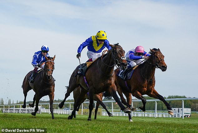 Winning result: Newbury Racecourse intends to pay shareholders a dividend after scoring higher annual revenues and profits