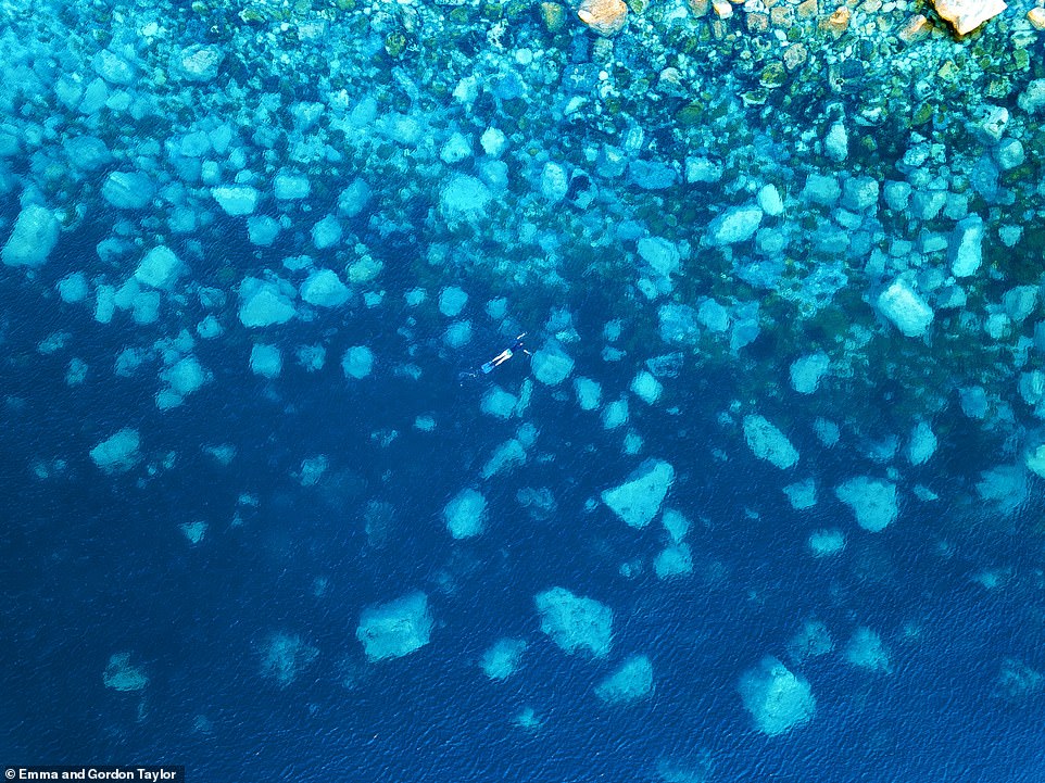 This photo shows Chesil Cove from above. The writers say: 'On occasion, there have been sightings of the wonderfully prehistoric-looking John Dory' in Chesil Cove