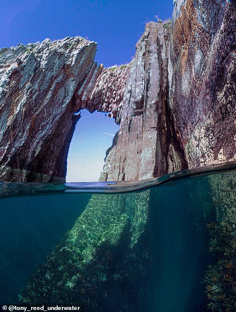 London Bridge Arch is 'less than a mile from Torquay town centre' and a 'fascinating' spot for snorkelling