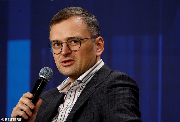 Ukraine's former foreign minister Dmytro Kuleba (pictured here in February 2024) said that there are 'numerous cases' of Russian sex crimes on innocent civilians on record