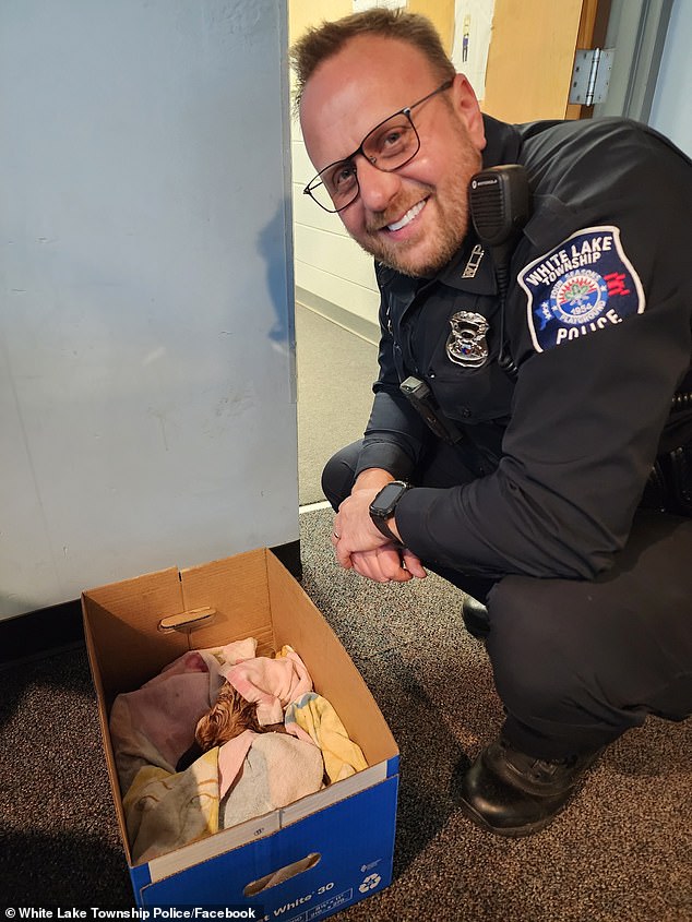 Frank Wright, an officer with the White Lake Township Police Department in Michigan, rescued a Bambi-like fawn - the sole survivor of triplets - after its mother was fatally struck by a car and went into traumatic premature labor on Tuesday evening (pictured)
