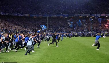 Thousands flooded the field as Hamburg secured their return to the Bundesliga on Saturday