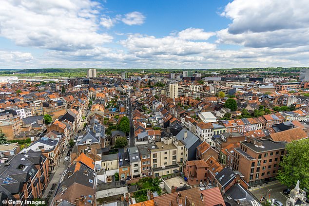 Now the university graduate has left the Golden State's astronomical rents and education costs for an idyllic European lifestyle in Leuven, Belgium (Pictured: View of the city of Leuven)