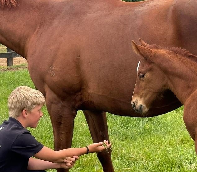 The Schick family has announced that their son Jimmy, aged 10, (pictured) has tragically passed away following an off-road vehicle incident