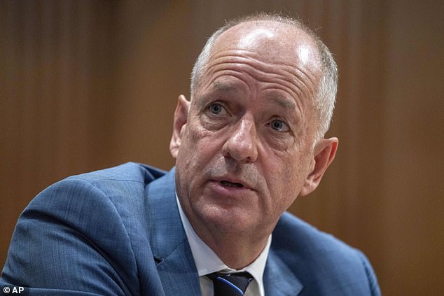Witty, seen testifying to Congress in May 2024 after a cyberattack on UnitedHealth's databases, was thrust into the limelight following Thompson's assassination