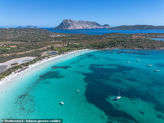 Surrounded by a pine forest and Mediterranean scrub, Cala Brandinchi 'offers a serene environment'