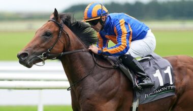 Mail Sport's racing expert Robin Goodfellow delivers his tips for Wednesday's meetings