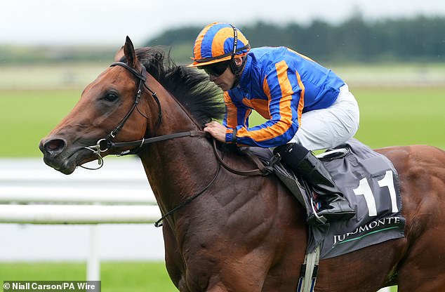 Mail Sport's racing expert Robin Goodfellow delivers his tips for Wednesday's meetings
