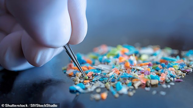 Microplastics are small plastic pieces that are less than 5mm in size and insoluble in water. They are harmful for environment and lead to plastic pollution