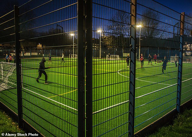 Palace have been tapping into football¿s most prolific new breeding ground over the past 10 years: a 10-square mile stretch of urban South London where the sport is played in cages