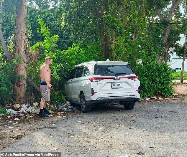 The left side of Mr Cook's face sustained a deep 10cm gash, while his chest and abdomen were slashed so severely that internal fat protruded. Police Lieutenant Colonel Suthiraphan Tapsri said: 'We are urgently working on intercepting the car', with investigations ongoing