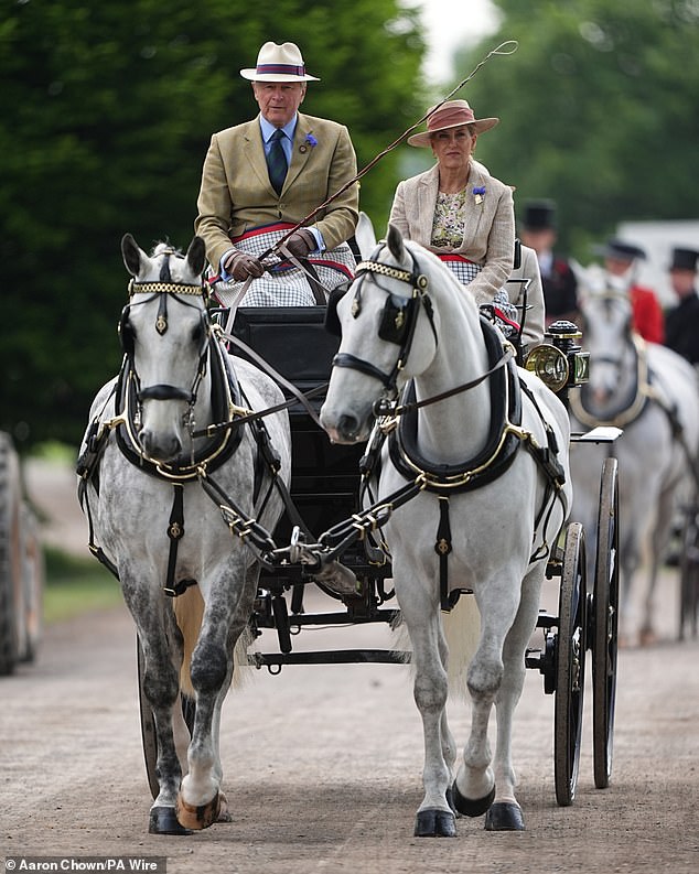 The royal wrapped a blanket around her legs as she took part in the British Driving Society Drive
