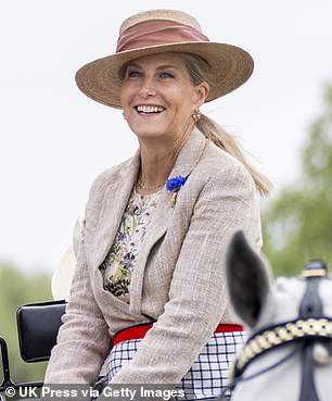 Sophie wore her blonde locks back in a sophisticated updo, while glamorous makeup enhanced her complexion